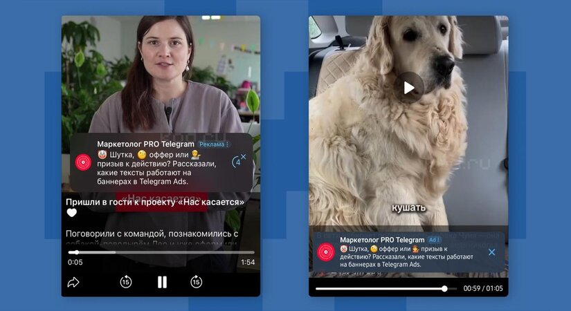 photo_2025-07-11_14-35-04.jpg photo_2025-07-11_14-35-04.jpg